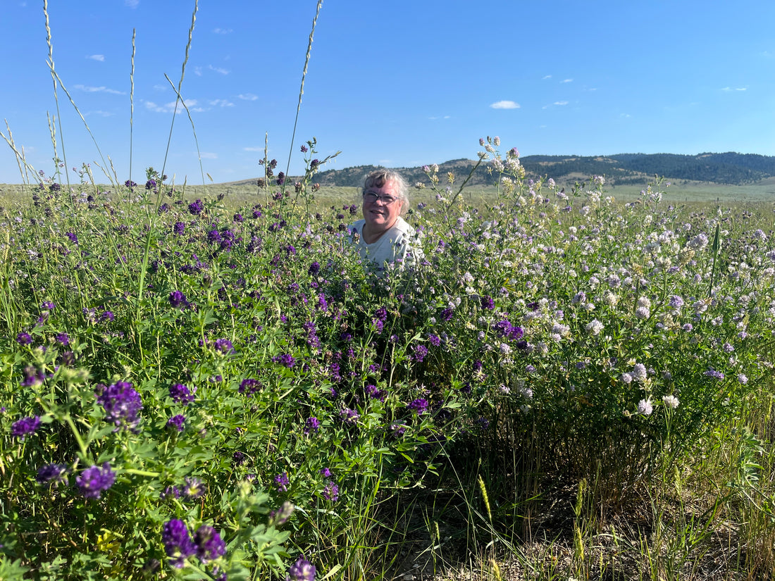 2023-08-31:Get out of my way!  I did, and the dog kennels got finished.