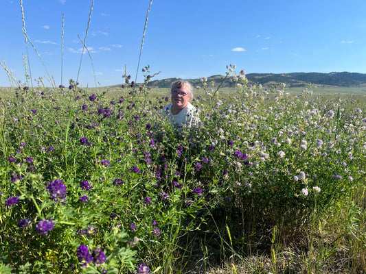 2023-08-31:Get out of my way!  I did, and the dog kennels got finished.