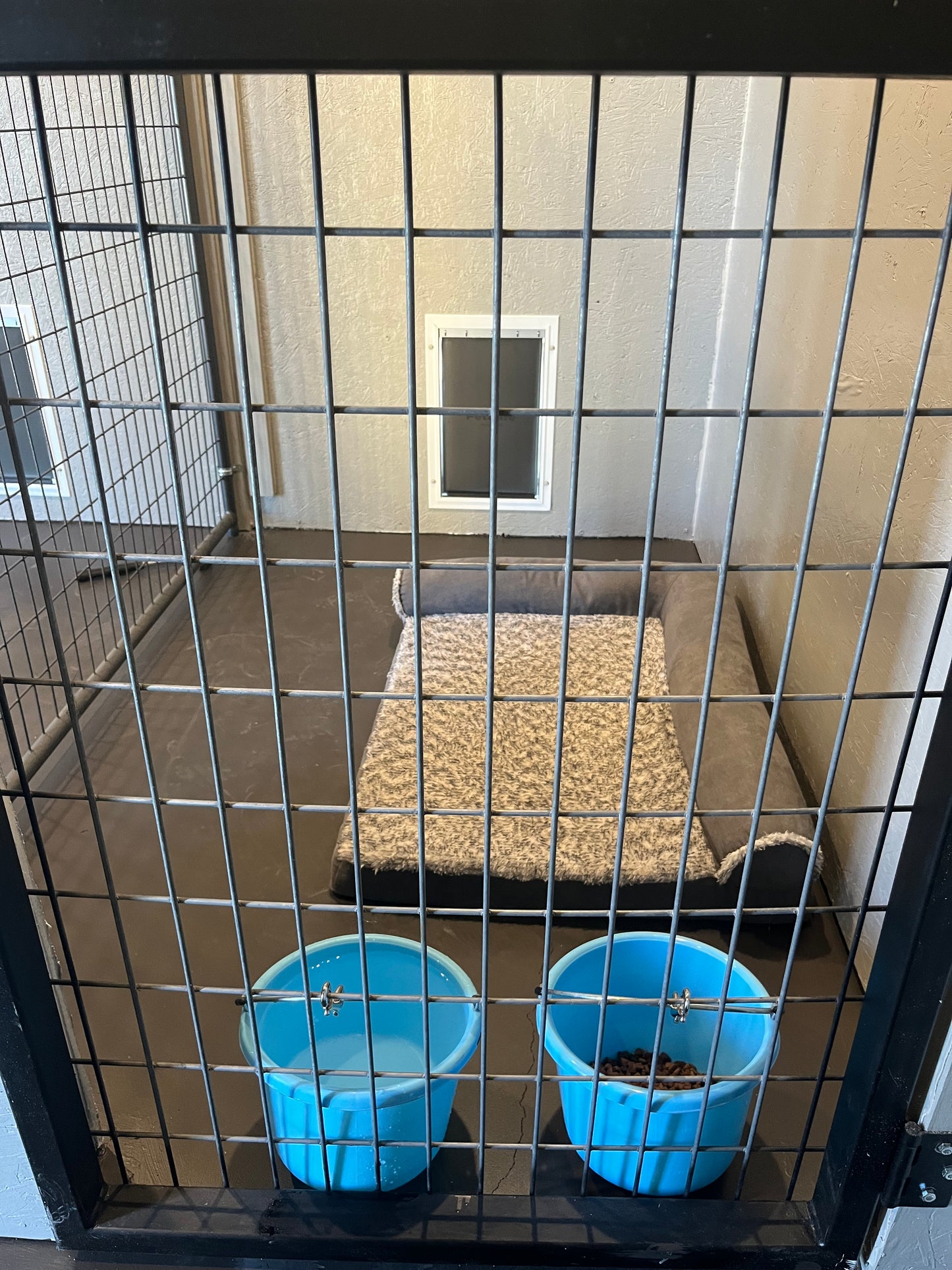 Pet Boarding - Dogs