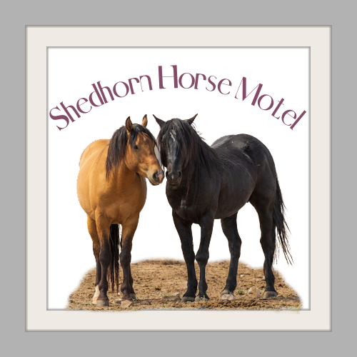 Horse Motel Pen #1 25 x 25