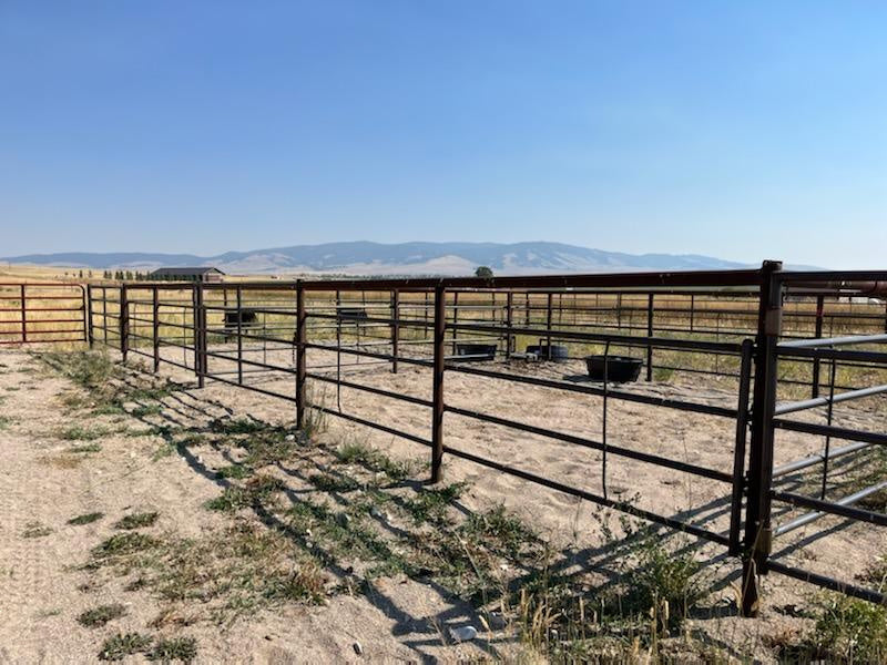 Horse Motel Pen #4 25 x 25