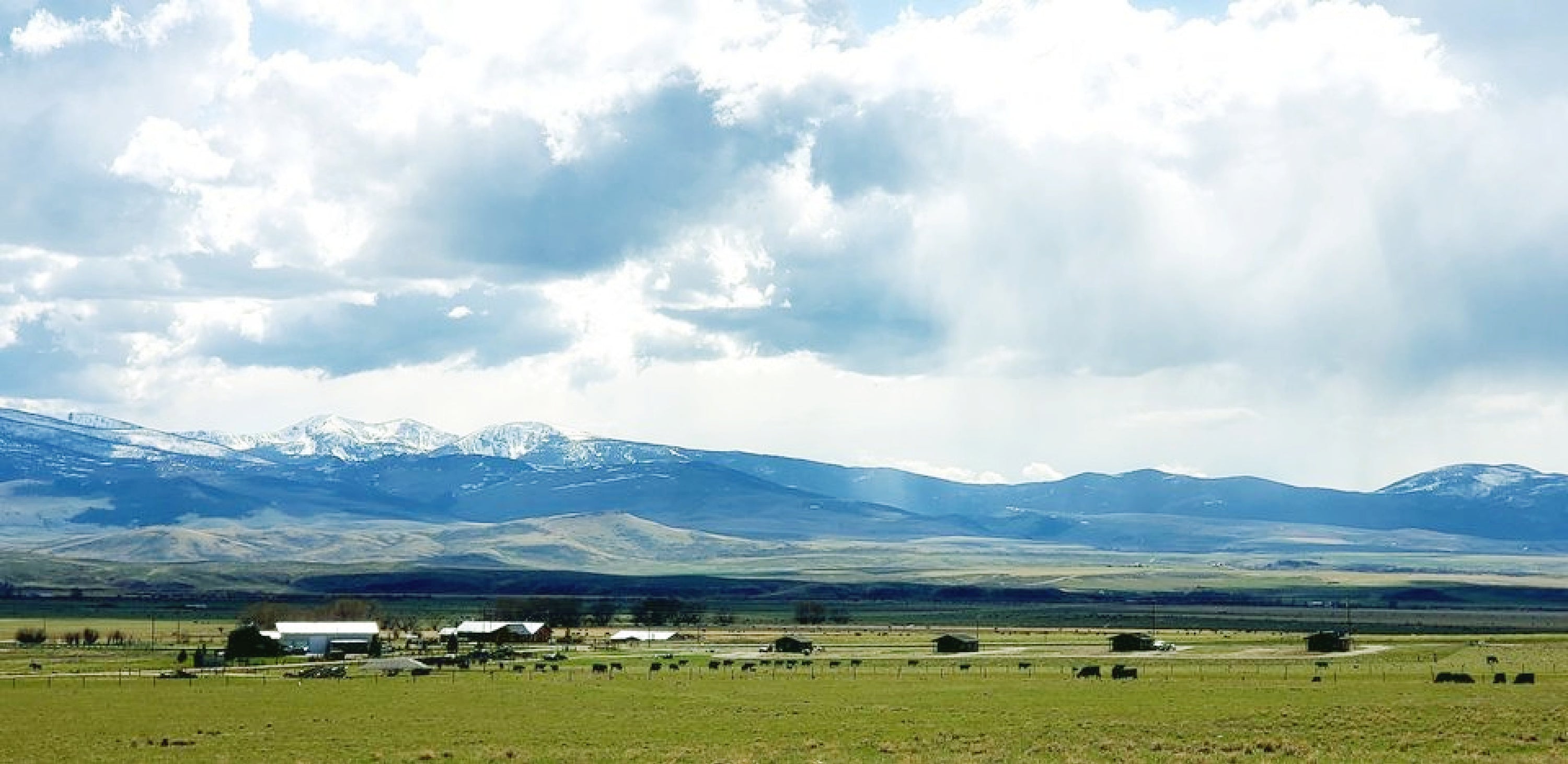 Shedhorn Cabins Horse Motel and Pet Boarding